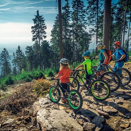 Ski Villa Rubicon Loučná pod Klínovcem エクステリア 写真