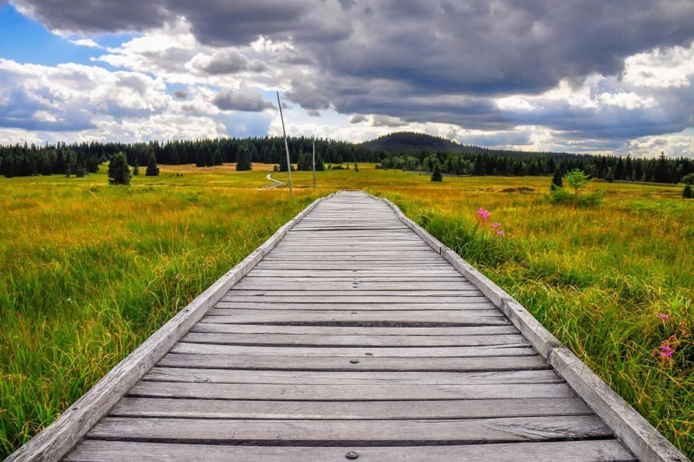 Ski Villa Rubicon Loučná pod Klínovcem エクステリア 写真